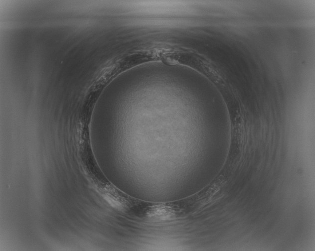 X0000060570750200511031309