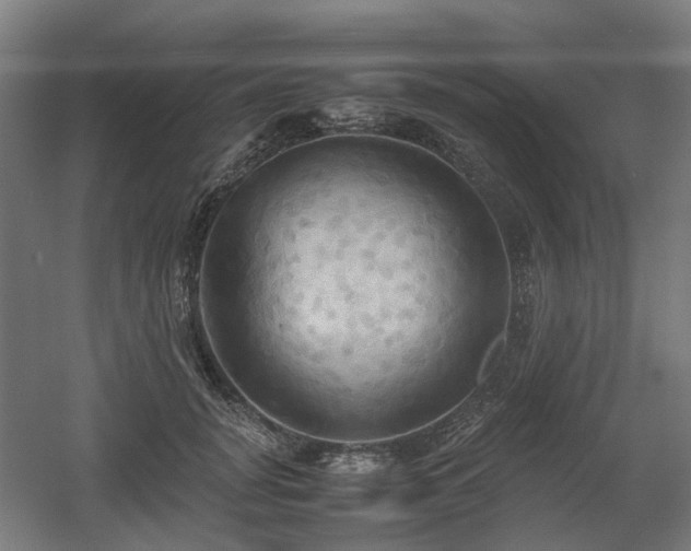 X0000060570751200511031309