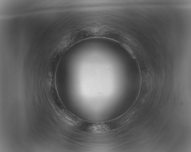 X0000060570752200511031309