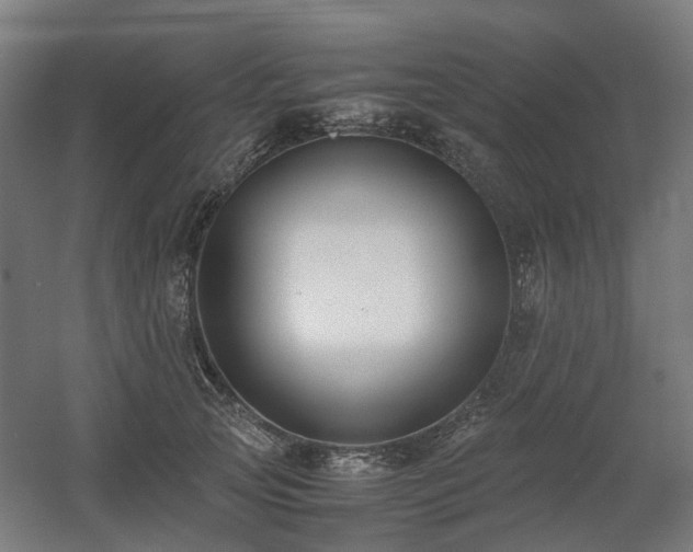 X0000060570753200511031309