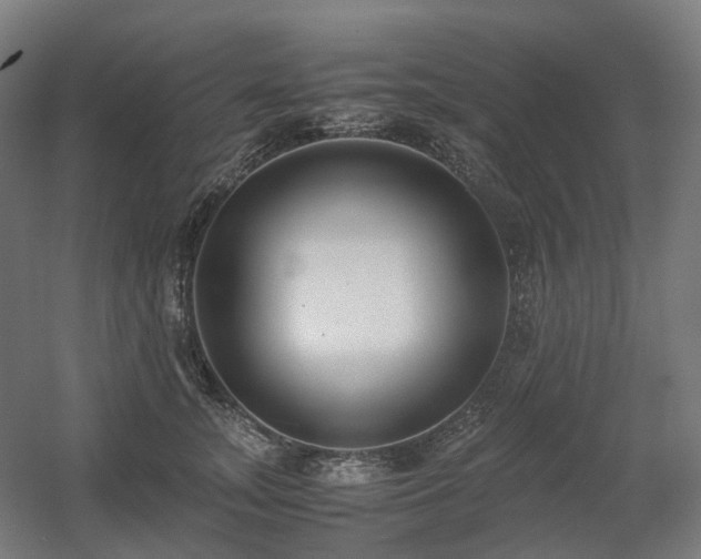 X0000060570755200511031309