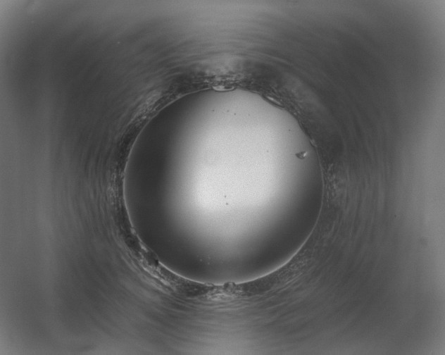 X0000060570756200511031309