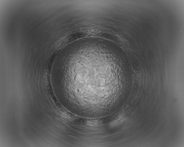 X0000060570757200511031309