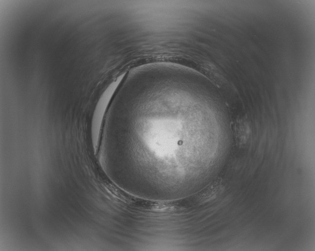X0000060570760200511031309