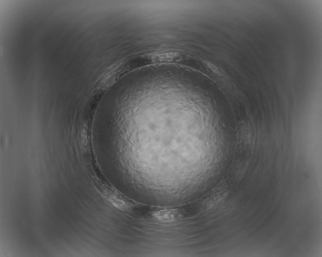 X0000060570761200511031309