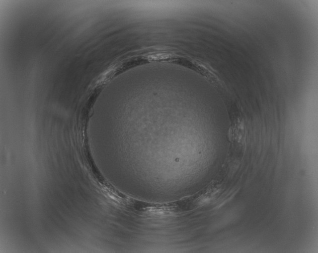 X0000060570763200511031309