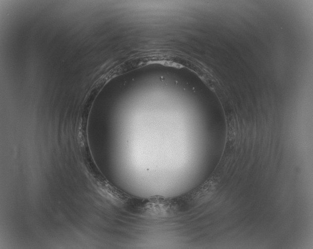 X0000060570764200511031309