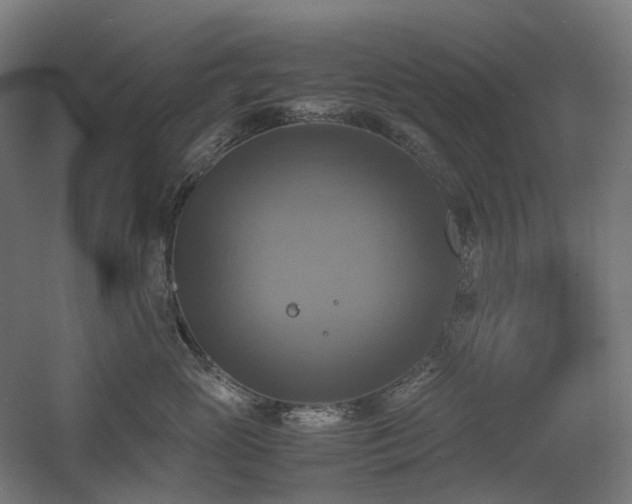 X0000060570765200511031309