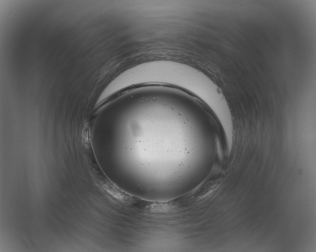 X0000060570766200511031309