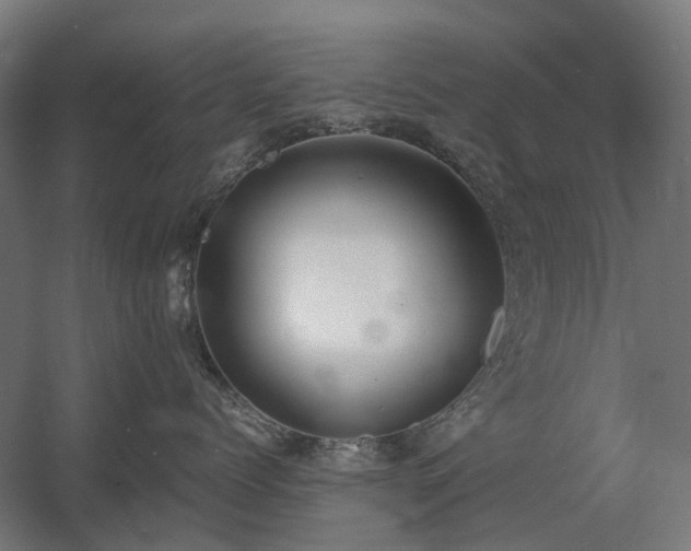 X0000060570768200511031309