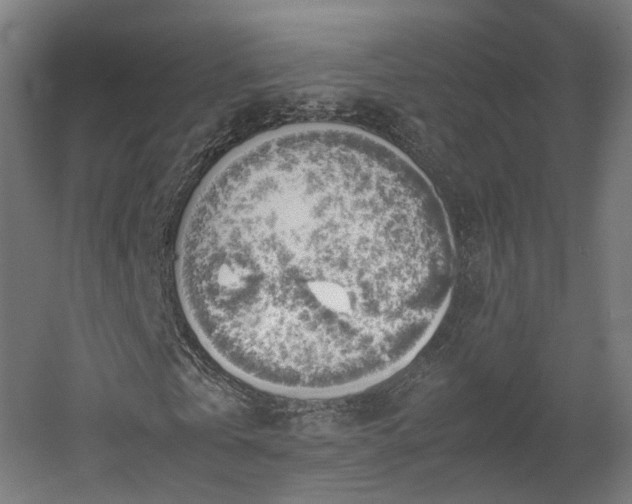 X0000060570769200511031308