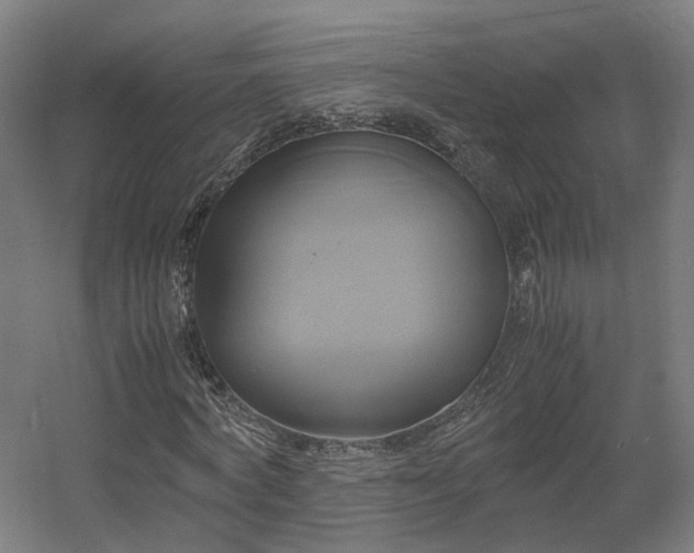 X0000060570772200511031308