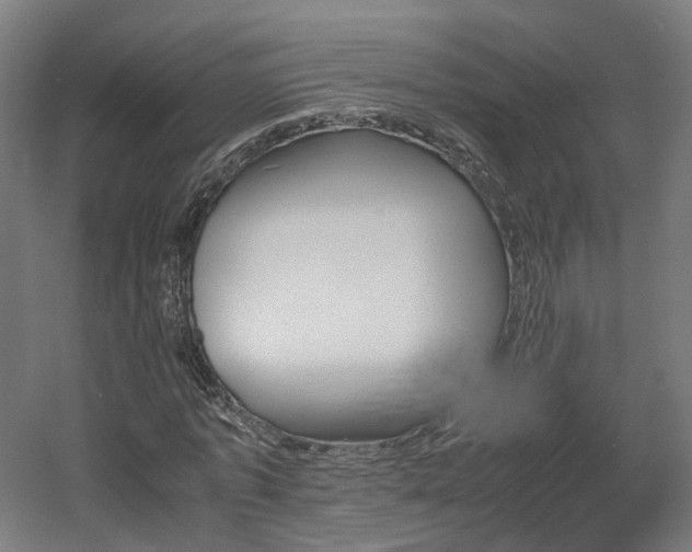 X0000060570773200511031308