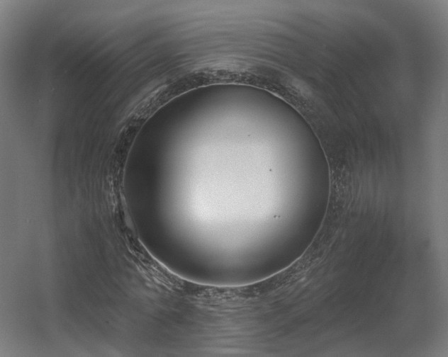 X0000060570774200511031308