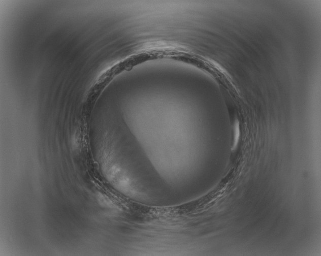 X0000060570775200511031308