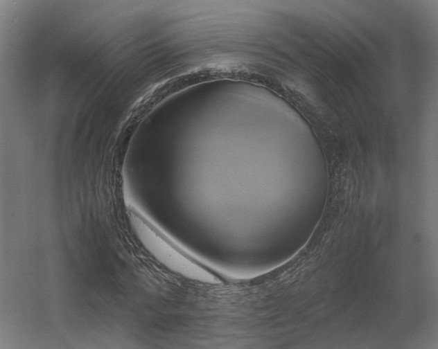 X0000060570776200511031308
