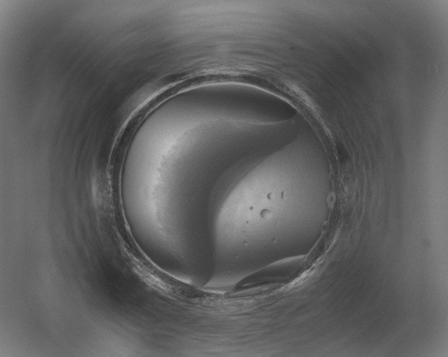 X0000060570779200511031308