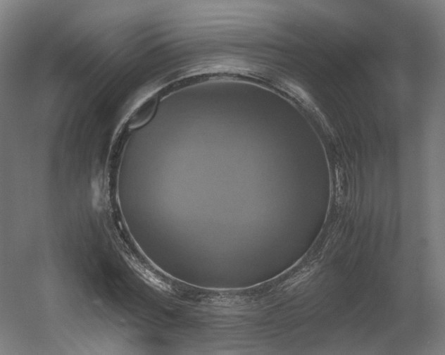 X0000060570780200511031308