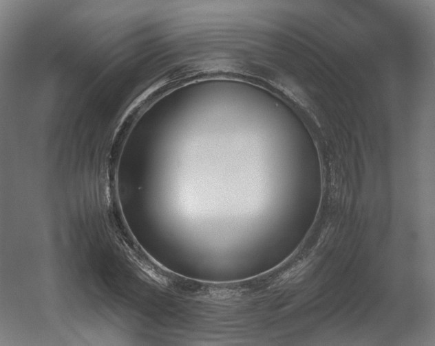 X0000060570782200511031308