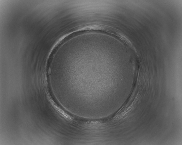 X0000060570784200511031308