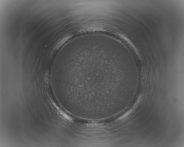 X0000060570785200511031308