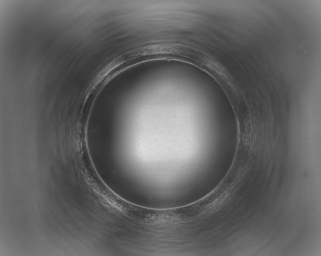 X0000060570786200511031308