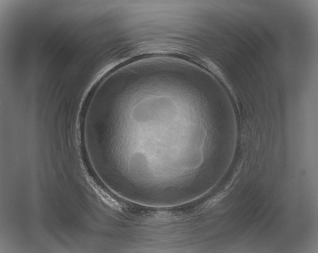 X0000060570787200511031308