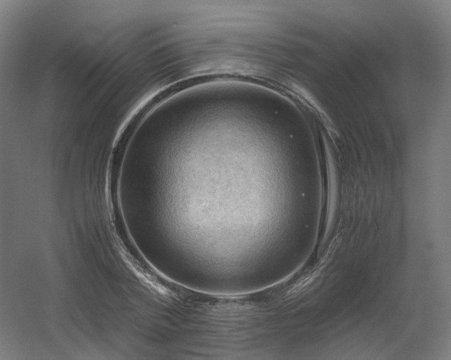 X0000060570788200511031308