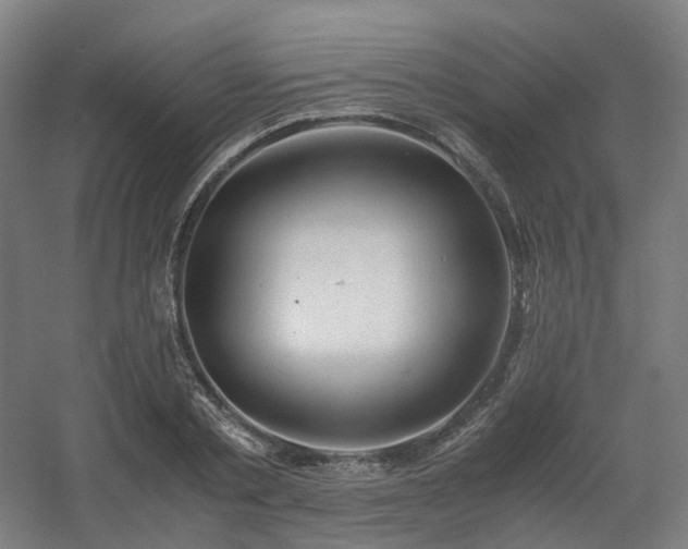 X0000060570789200511031308