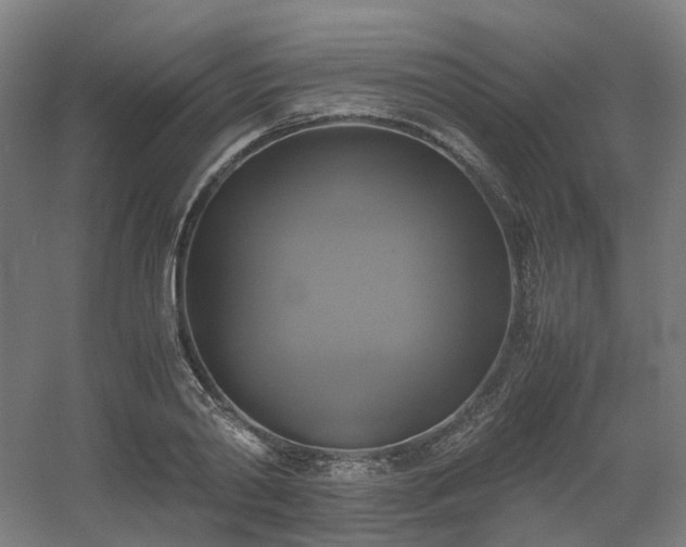 X0000060570790200511031308