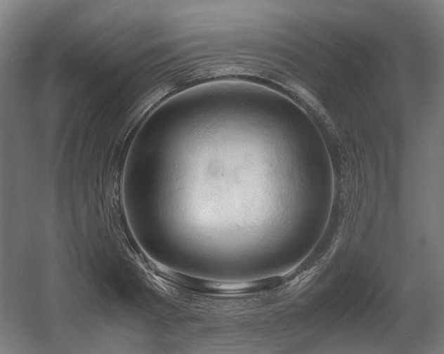 X0000060570793200511031308
