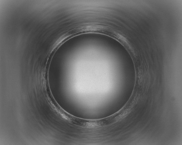 X0000060570794200511031308