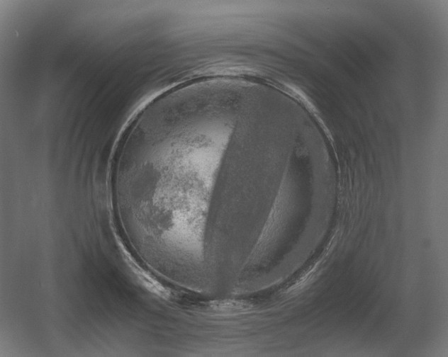 X0000060570795200511031308
