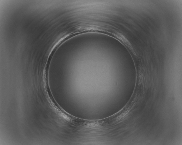 X0000060570798200511031308