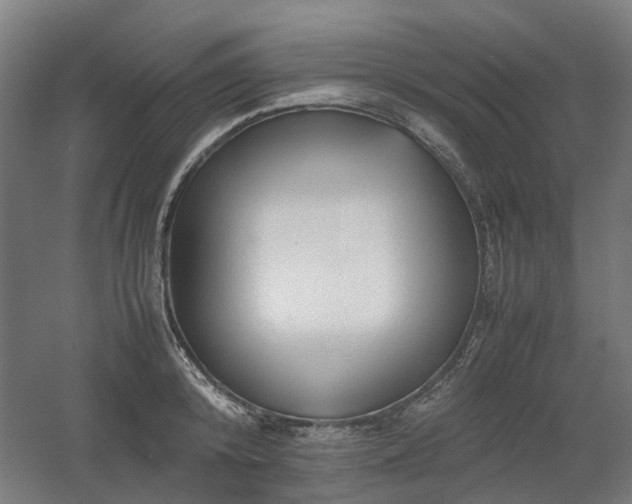 X0000060570800200511031308