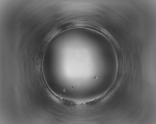 X0000060570801200511031308