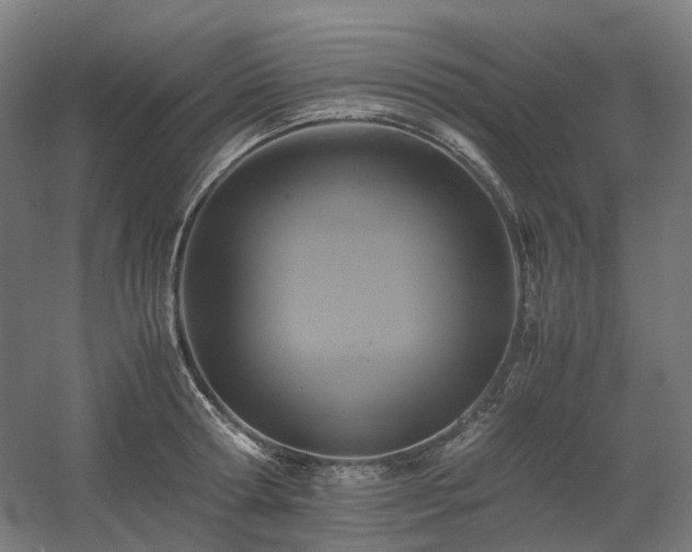 X0000060570802200511031308