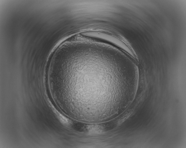 X0000060570803200511031308