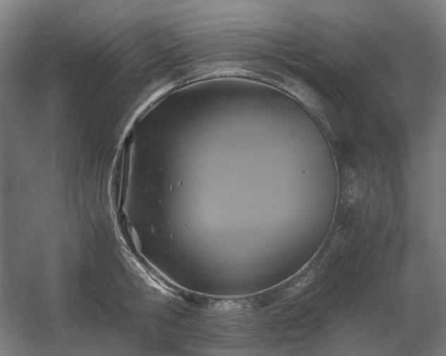 X0000060570806200511031308