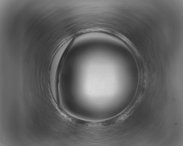 X0000060570809200511031308
