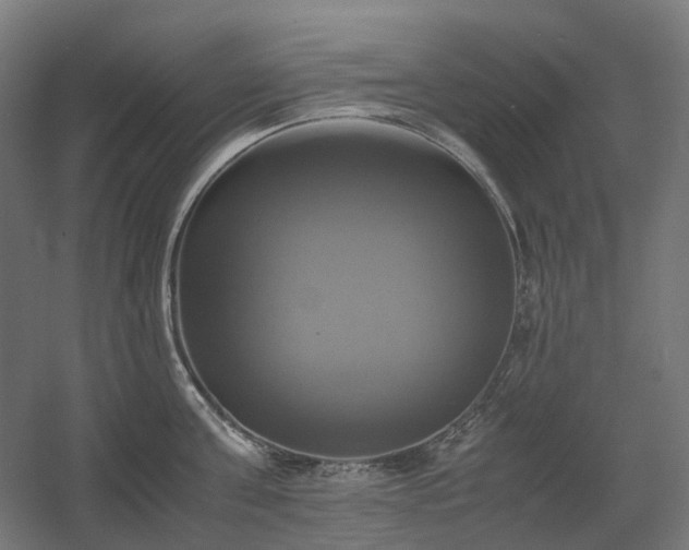 X0000060570811200511031308