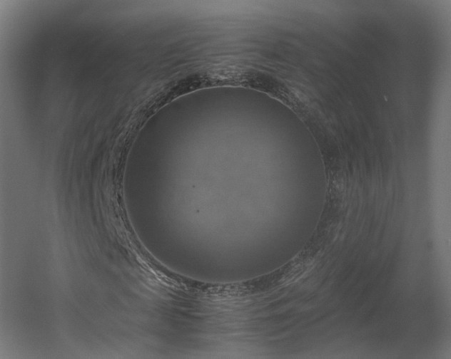 X0000060570817200511031307