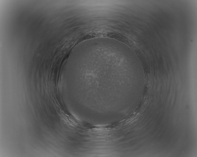 X0000060570818200511031307