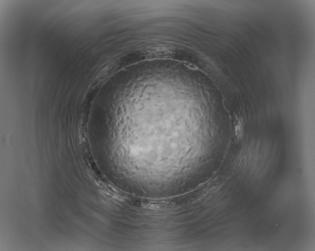 X0000060570819200511031307