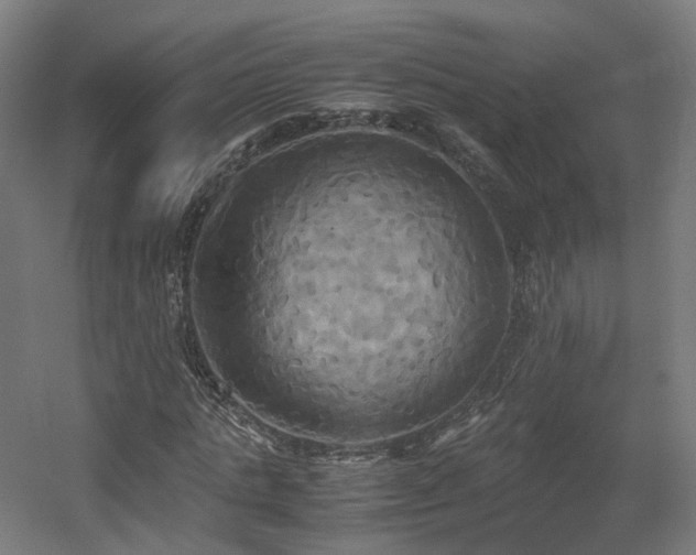 X0000060570821200511031307