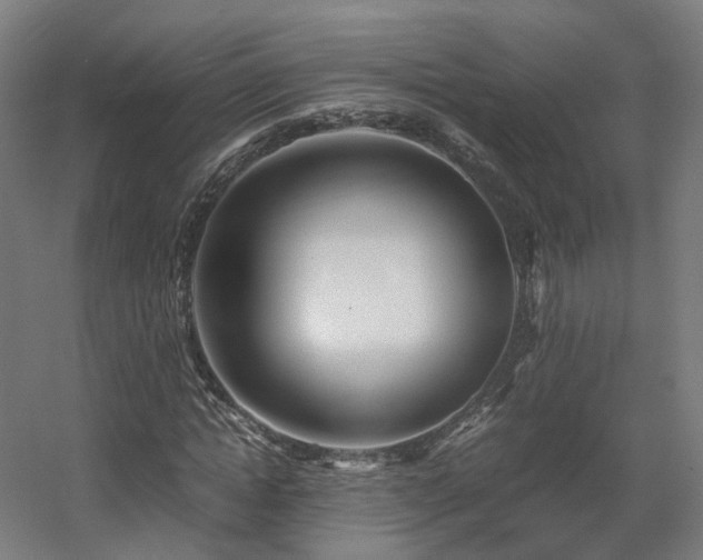 X0000060570822200511031307