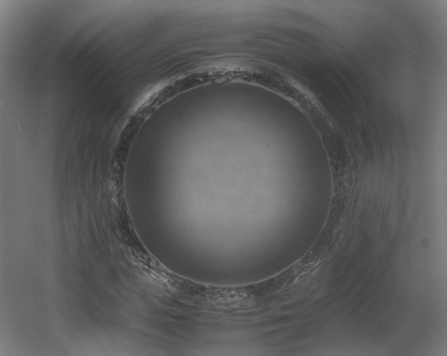 X0000060570823200511031307