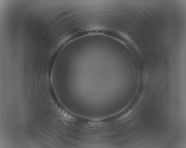 X0000060570825200511031307