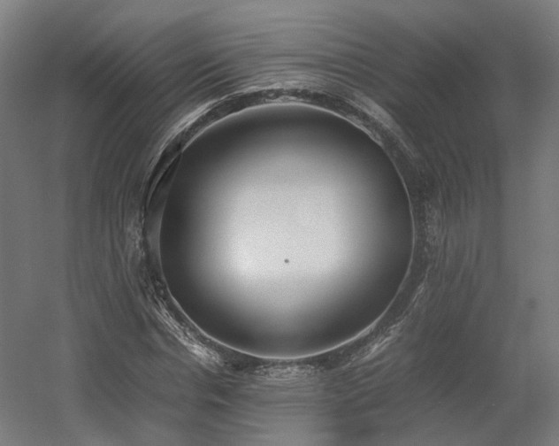 X0000060570826200511031307