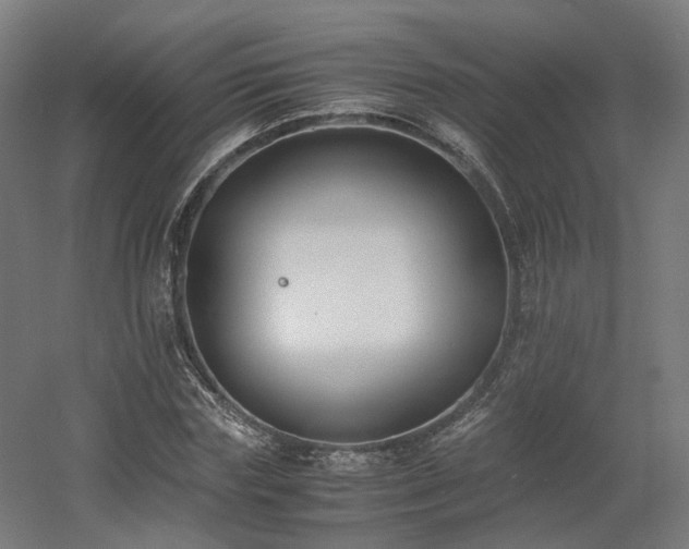 X0000060570827200511031307